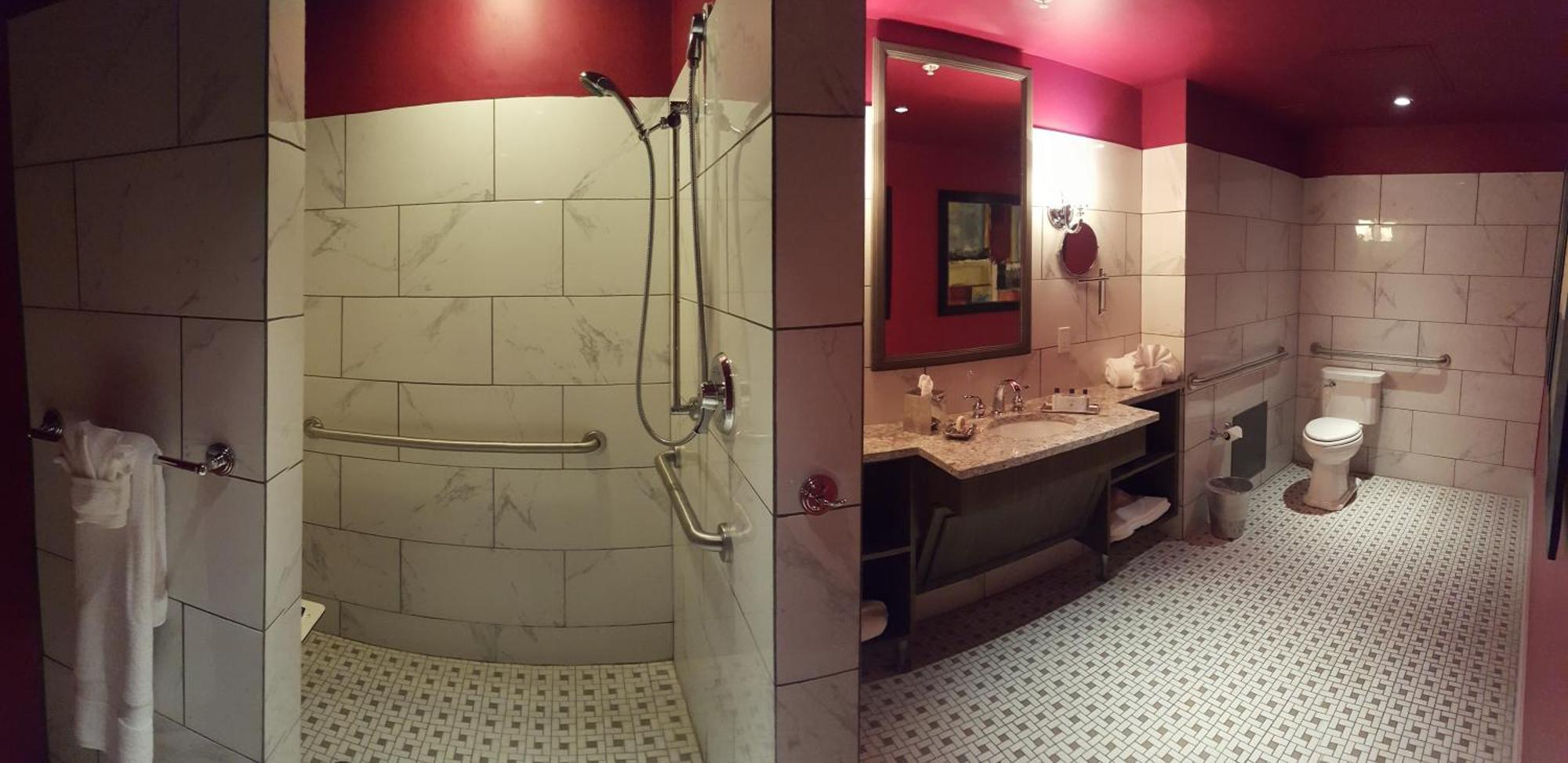 King Room Disability Access Walk Shower Only,697521771:JPEG